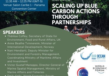 Scaling Up Blue Carbon Actions through Partnerships
